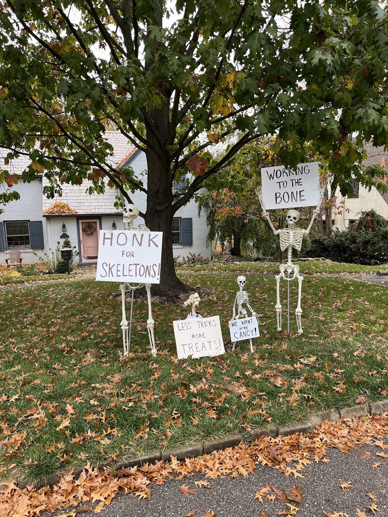 Skeletons on strike